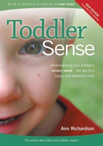 Toddler Sense Book - New edition by Ann Richardson